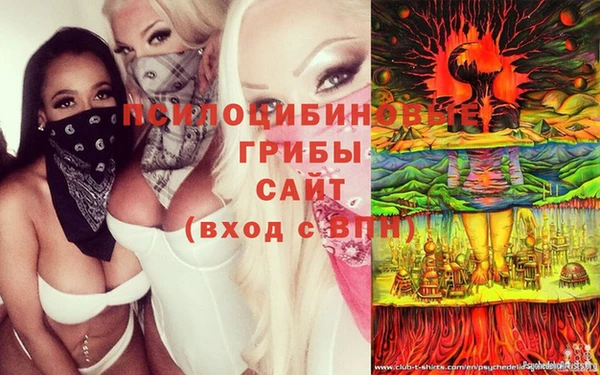 ГАЛЛЮЦИНОГЕННЫЕ ГРИБЫ Алексеевка