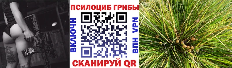 Галлюциногенные грибы ЛСД  Козловка 